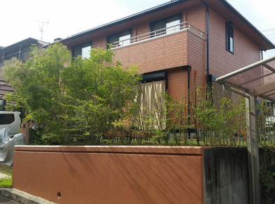 b-20150905_150629.jpg